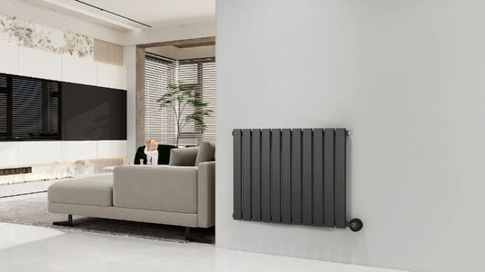 Horizontaler Elektroheizkörper Schwarz 800 Watt Calysta