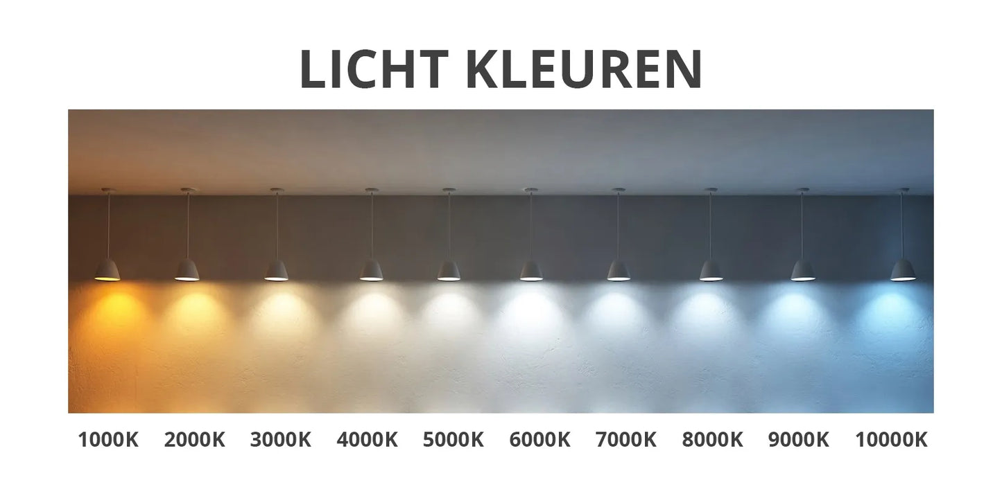 Halbovaler LED-Spiegel 50 x 100 cm
