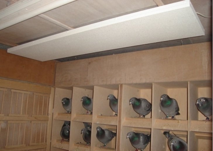 Tierische Heizung