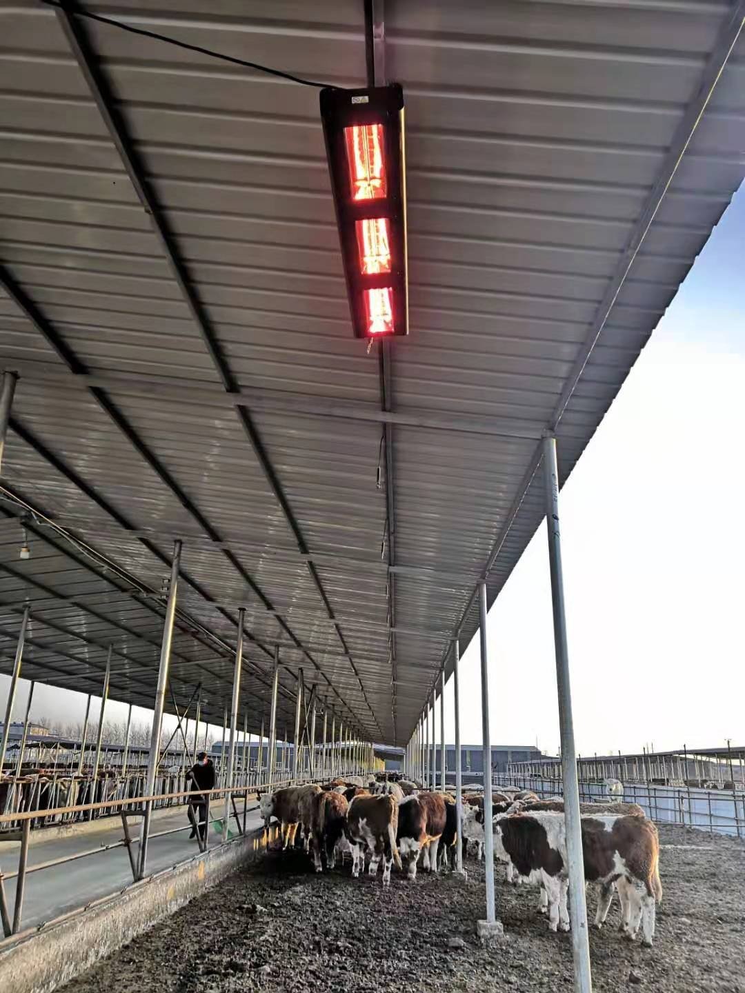 QH-PRO Infrarot-Heizstrahler 6.000 Watt