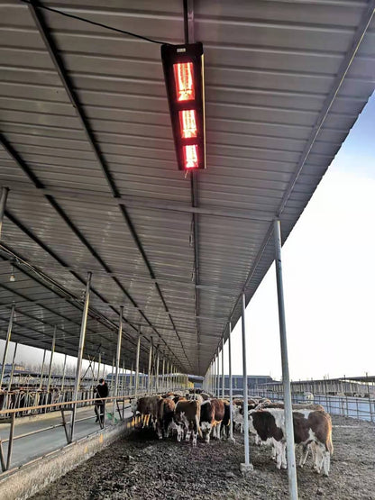 QH-PRO Infrarot-Heizstrahler 6.000 Watt