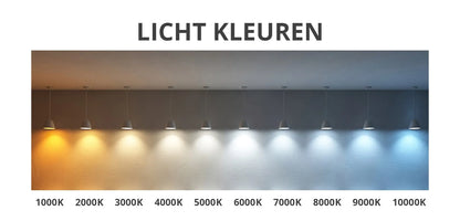 Halbovaler LED-Spiegel 50 x 100 cm